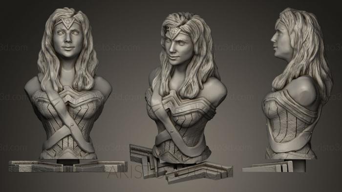 Busts and bas-reliefs of famous people (BUSTC_0659) 3D model for CNC machine